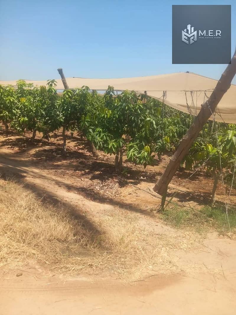 47 IMG-20251126-WA0238. jpg