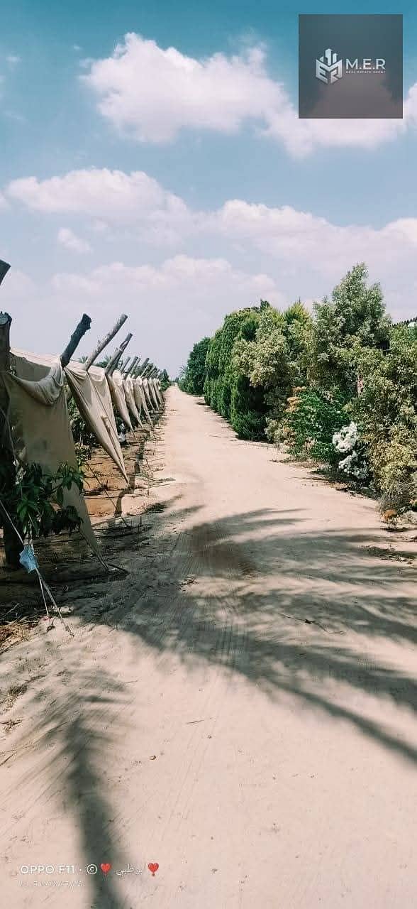 48 IMG-20251126-WA0239. jpg