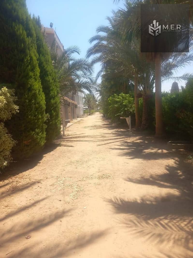 51 IMG-20251126-WA0242. jpg