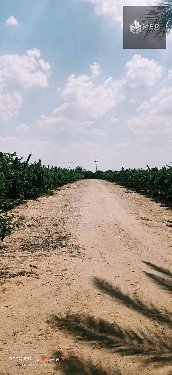 54 IMG-20251126-WA0245. jpg