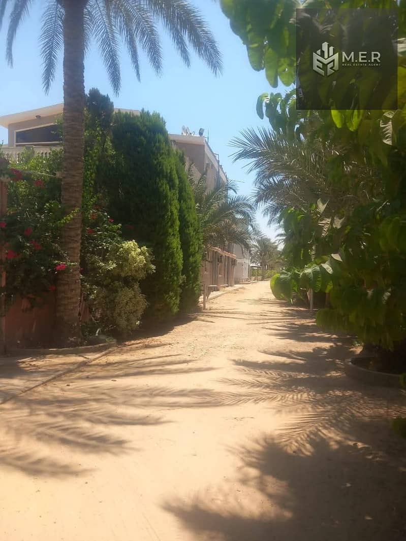 59 IMG-20251126-WA0250. jpg