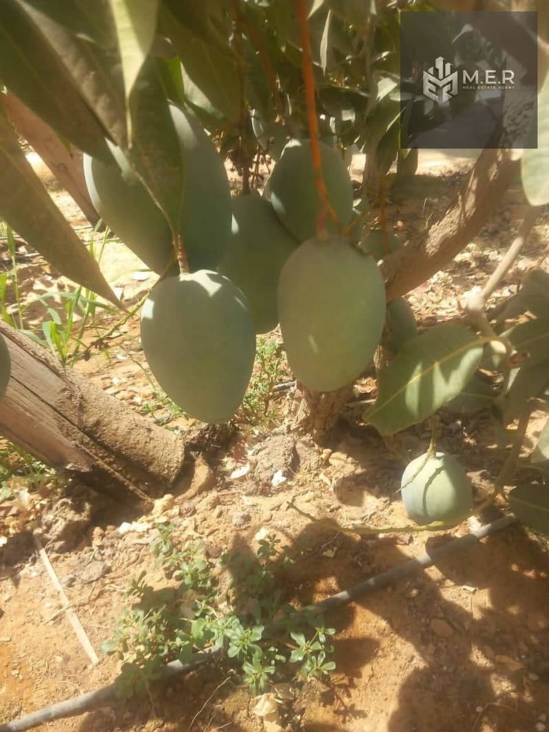 61 IMG-20251126-WA0252. jpg