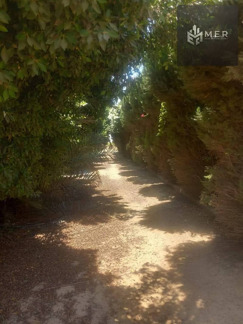 62 IMG-20251126-WA0253. jpg