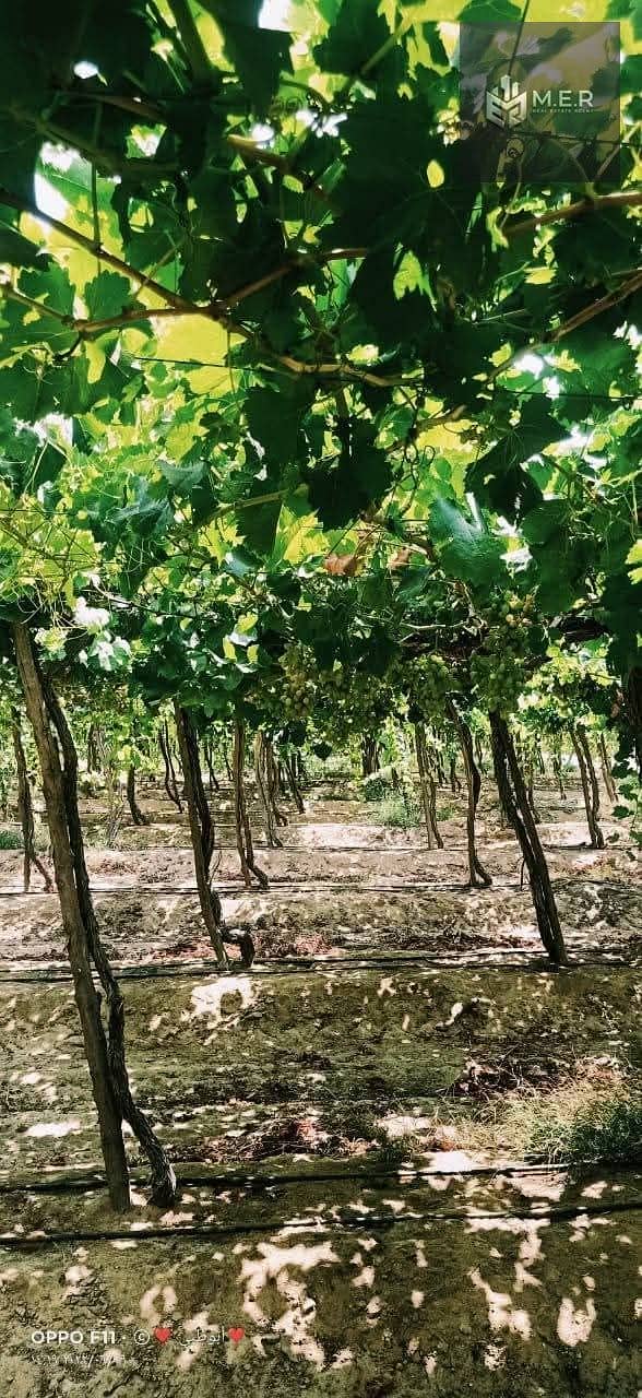 63 IMG-20251126-WA0254. jpg