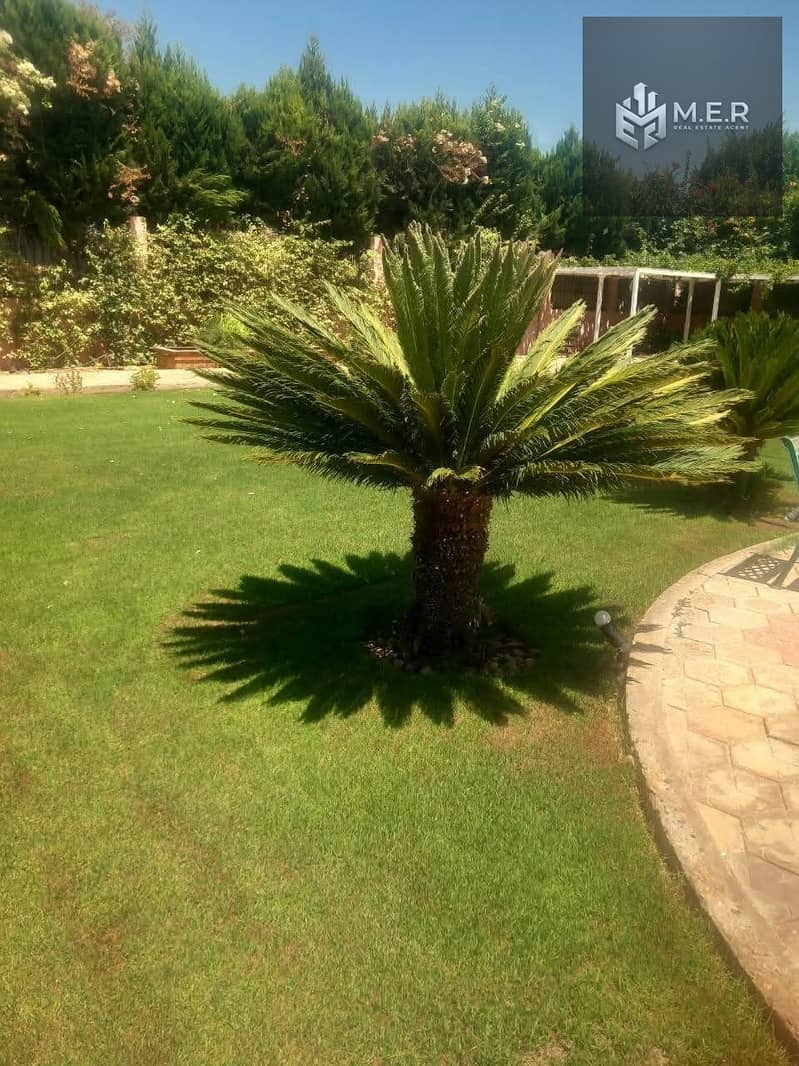 65 IMG-20251126-WA0256. jpg