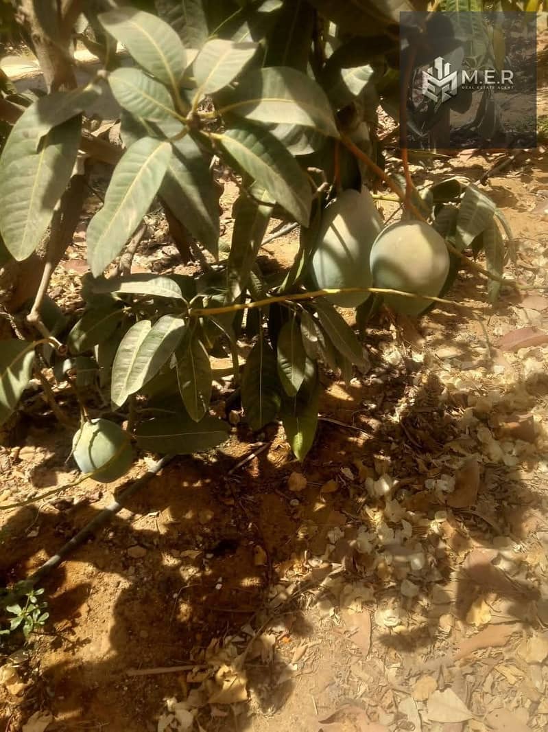 67 IMG-20251126-WA0258. jpg