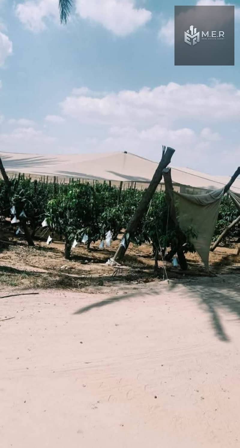 69 IMG-20251126-WA0260. jpg