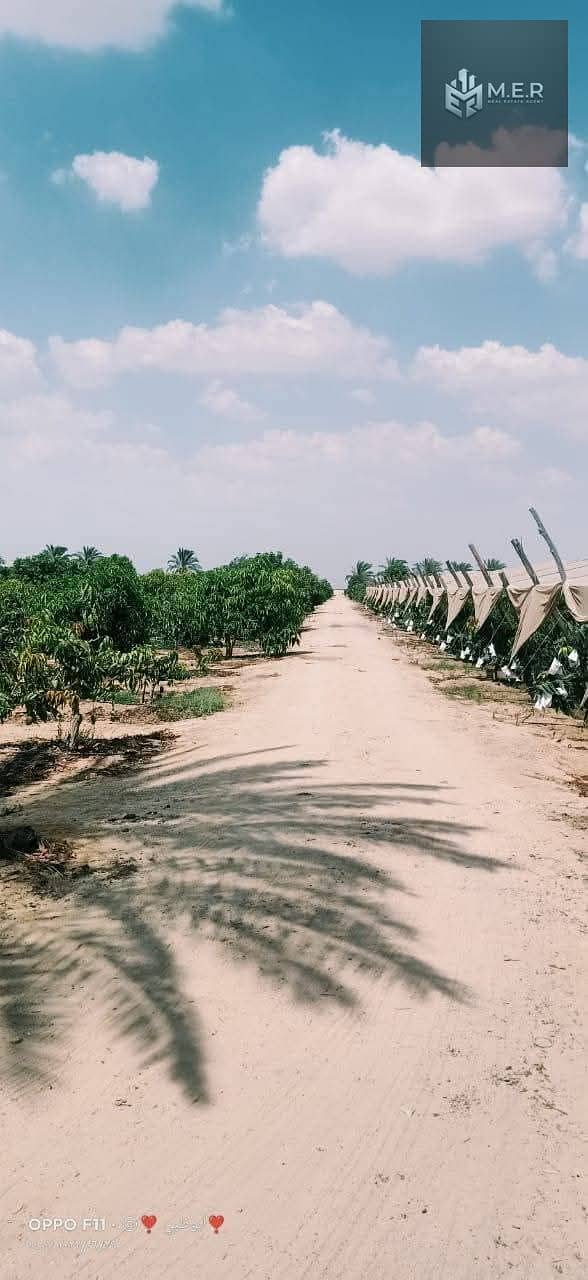 72 IMG-20251126-WA0263. jpg