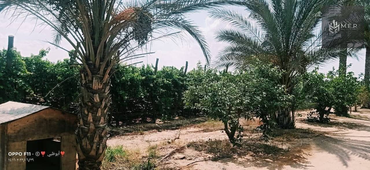 77 IMG-20251126-WA0268. jpg