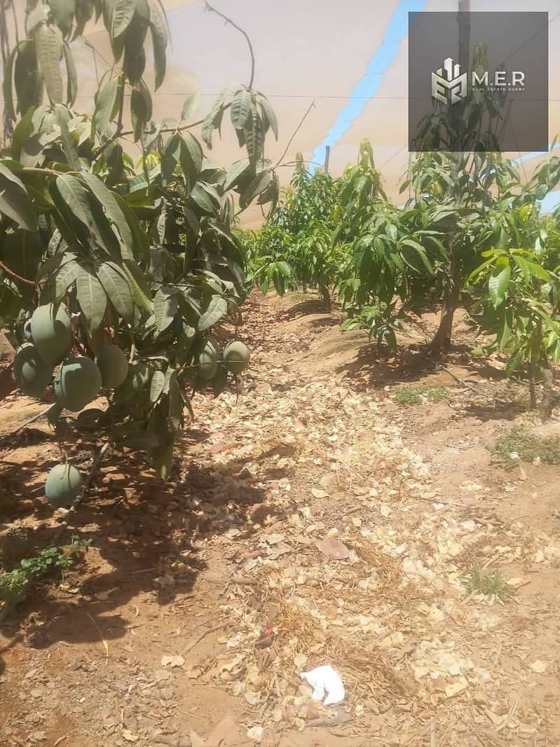 80 IMG-20251126-WA0271. jpg