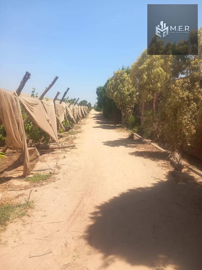 81 IMG-20251126-WA0272. jpg