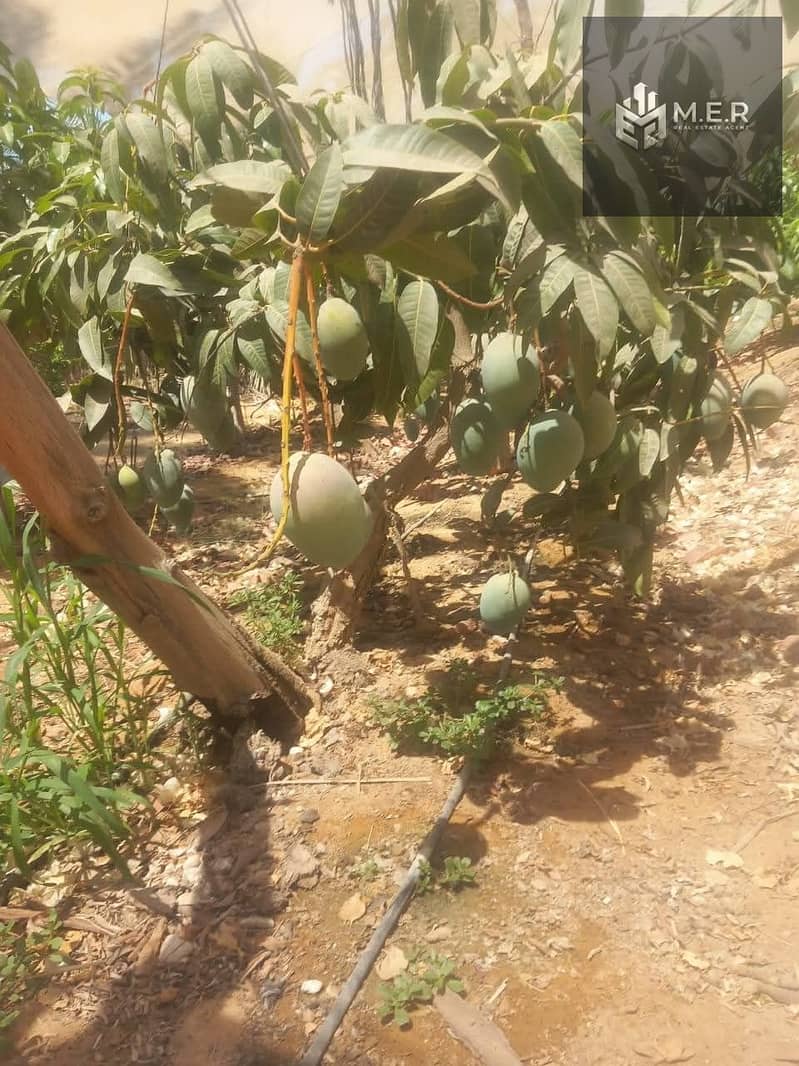 84 IMG-20251126-WA0276. jpg