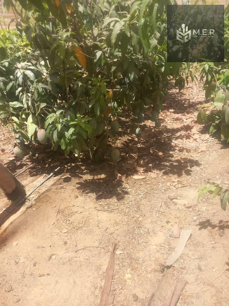 85 IMG-20251126-WA0277. jpg