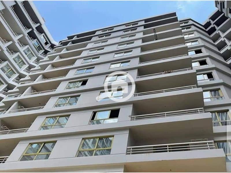 5 Picture13 (1). jpg