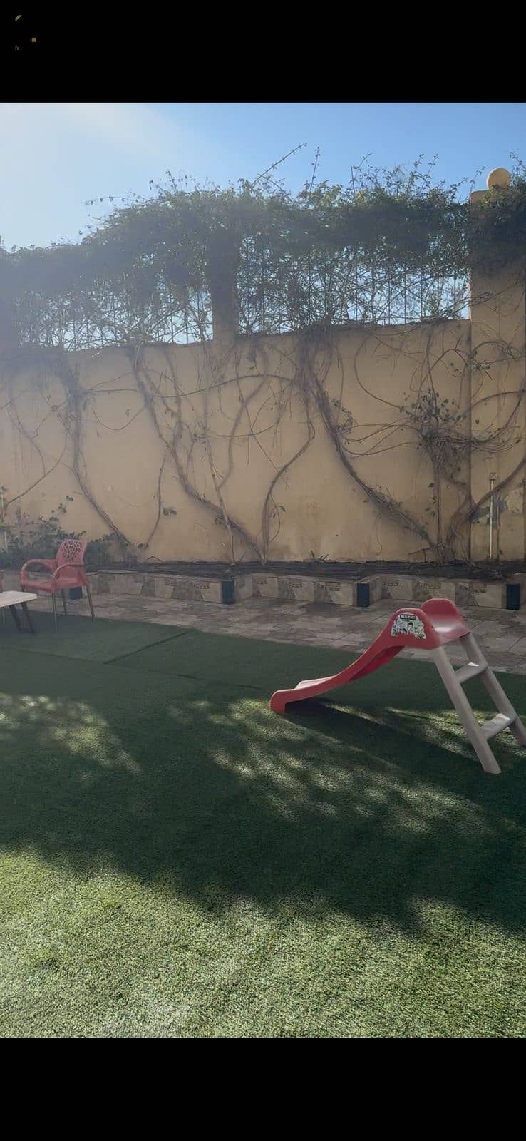 6 4012be82-2175-47f7-9a9e-1cee479785da. jpg