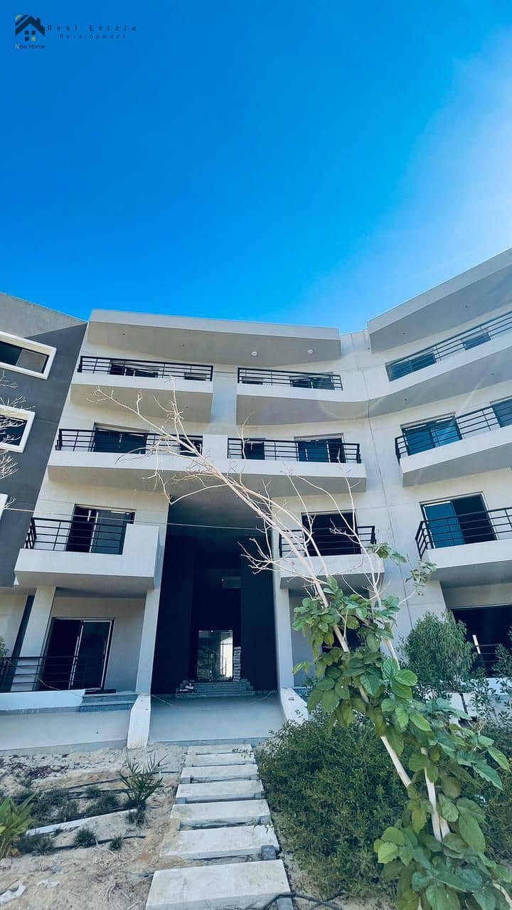 16 cf050345-0949-4380-9faa-a3bce0cd4cd2. jpg