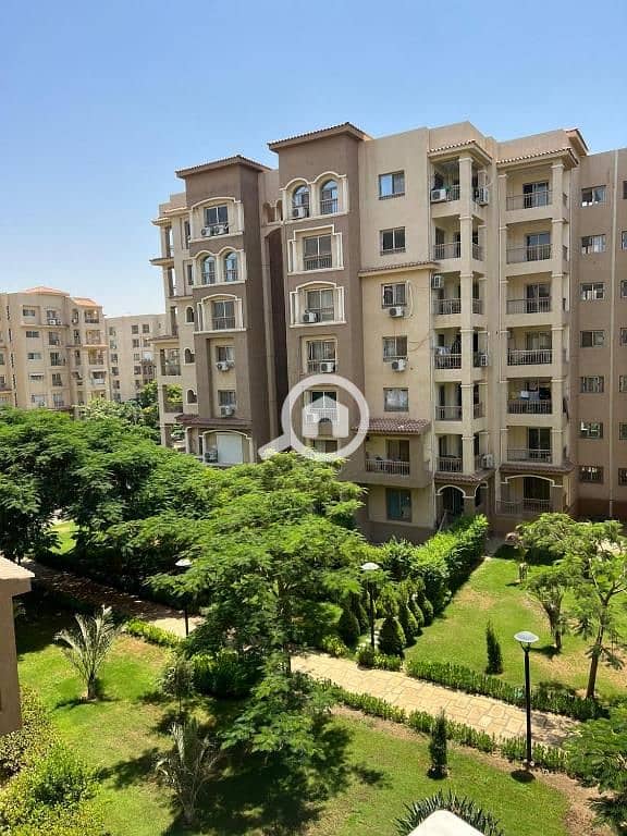 2 490140058 - Copy. jpg