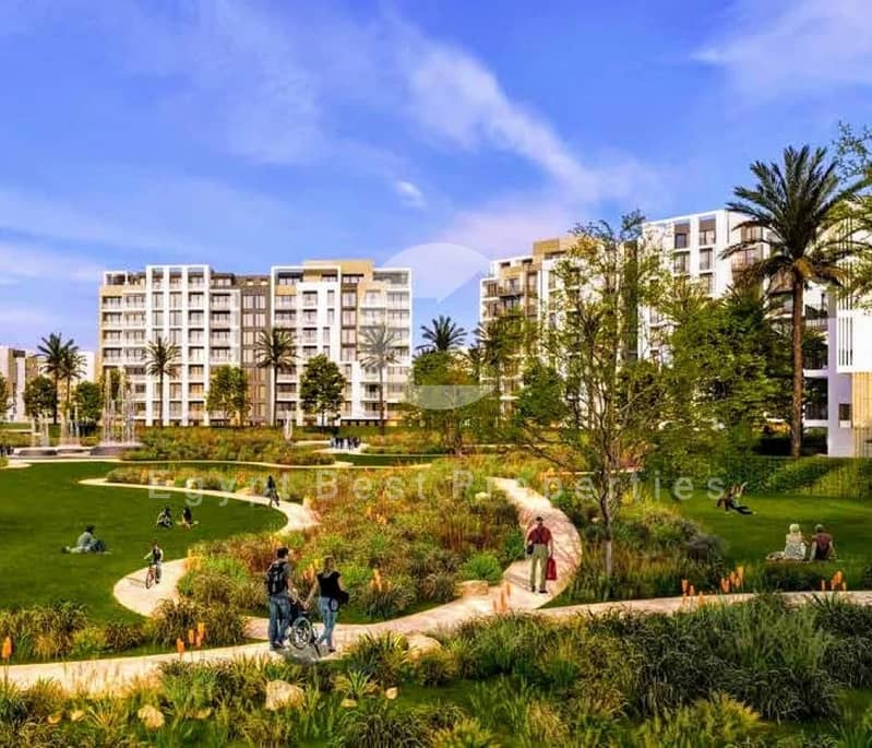 high (Custom). jpeg high (Custom). jpeg