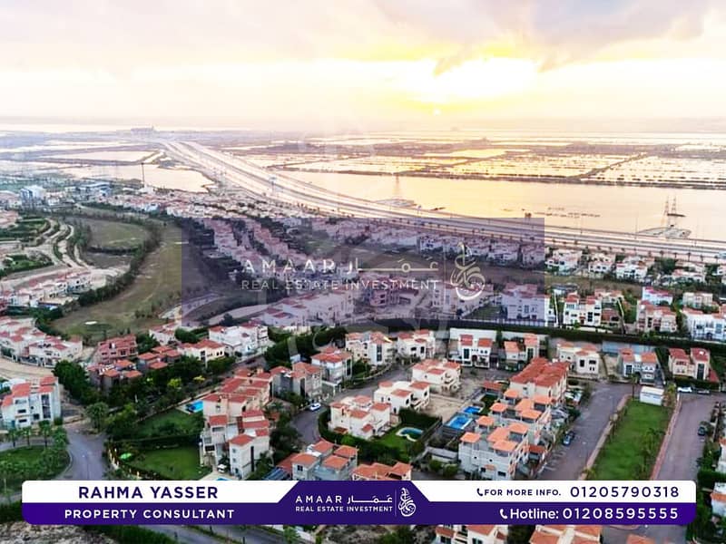 4 593369945_122151959576841183_1280644392307533987_n. jpg