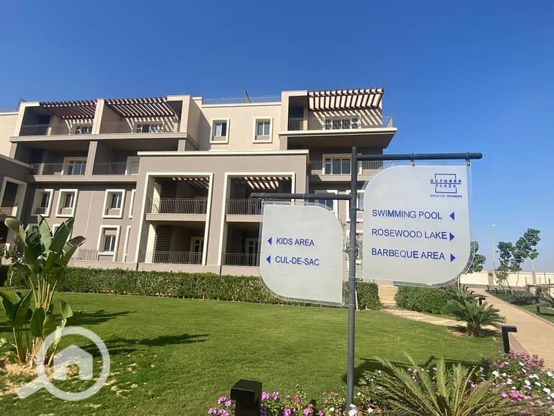 3 WhatsApp Image 2024-08-14 at 13.57. 05_5156abc7. jpg