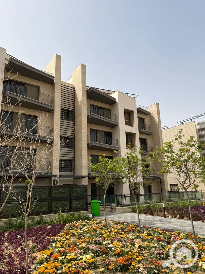 4 WhatsApp Image 2024-05-29 at 20.27. 29_25b4b402. jpg