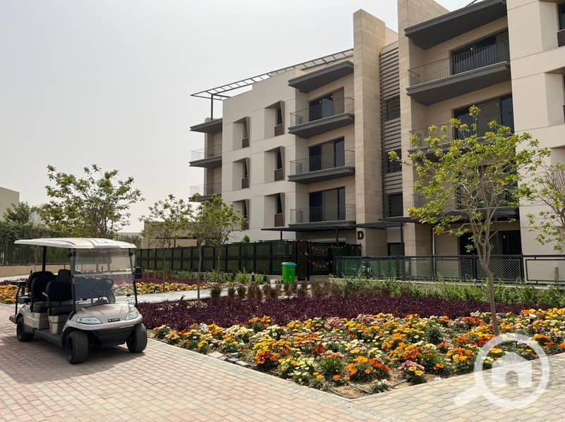 8 WhatsApp Image 2024-05-29 at 20.27. 28_4cc3696c. jpg