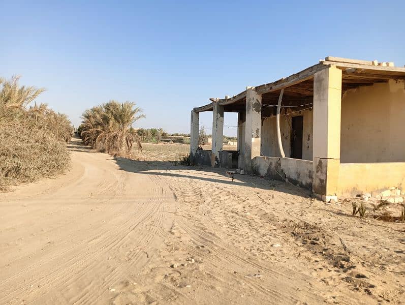 ارض زرعيه للبيع في وادي النطرون