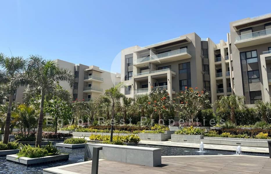 24 WhatsApp Image 2025-10-07 at 18.40. 25_eff773e6 (Custom). jpg