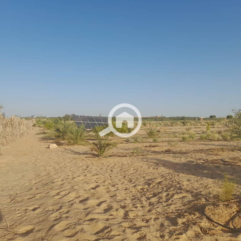 1d4c2ae5-2c71-4d93-8f5f-3dea2bfefcd2 - Copy. jpg 1d4c2ae5-2c71-4d93-8f5f-3dea2bfefcd2 - Copy. jpg