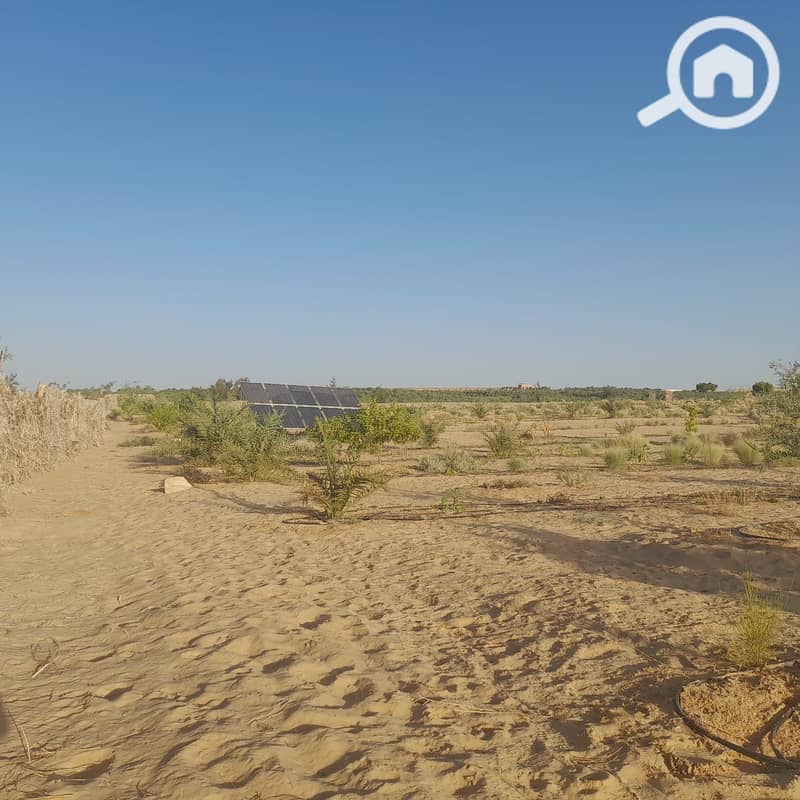 2 1d4c2ae5-2c71-4d93-8f5f-3dea2bfefcd2. jpg