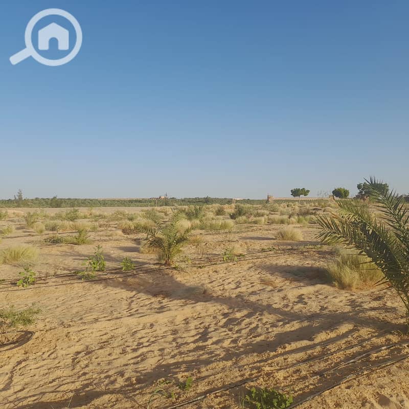 3 7f281832-32d9-4abd-8f2b-2ad896e4ed88. jpg