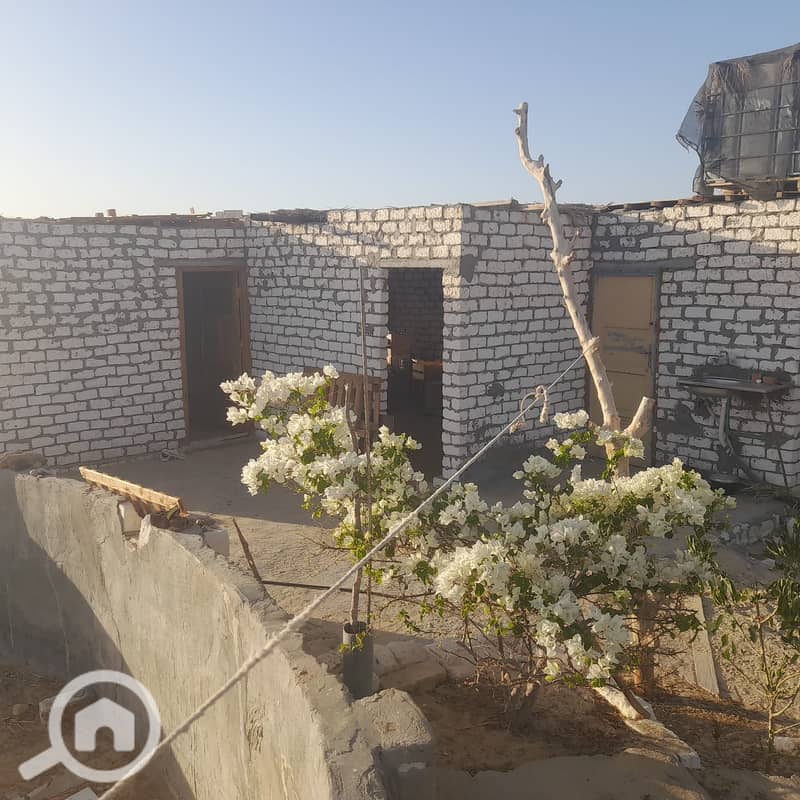 4 016a16b4-712c-47a8-9689-9ab2ad6b2ac1. jpg