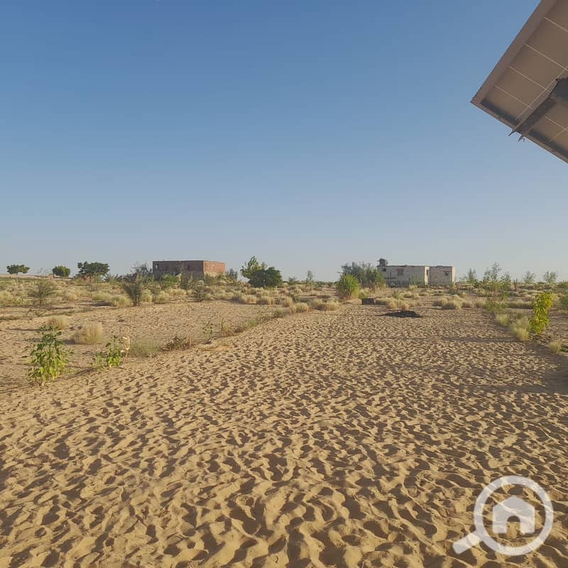 5 54ae04fb-1cbf-4513-8c6a-73c98d499a98. jpg