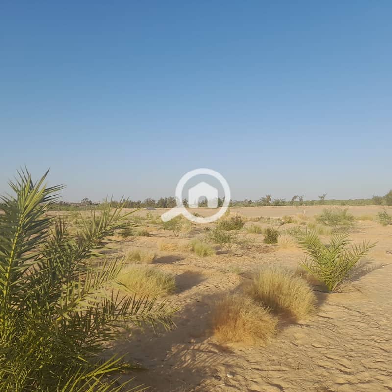 6 91b09681-e0e2-4db7-9cc3-58f38aca97cb. jpg