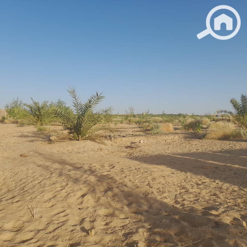 7 99cf9156-63a1-4394-98b0-1bddd1b0d62e - Copy. jpg