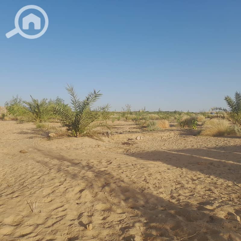 8 99cf9156-63a1-4394-98b0-1bddd1b0d62e. jpg