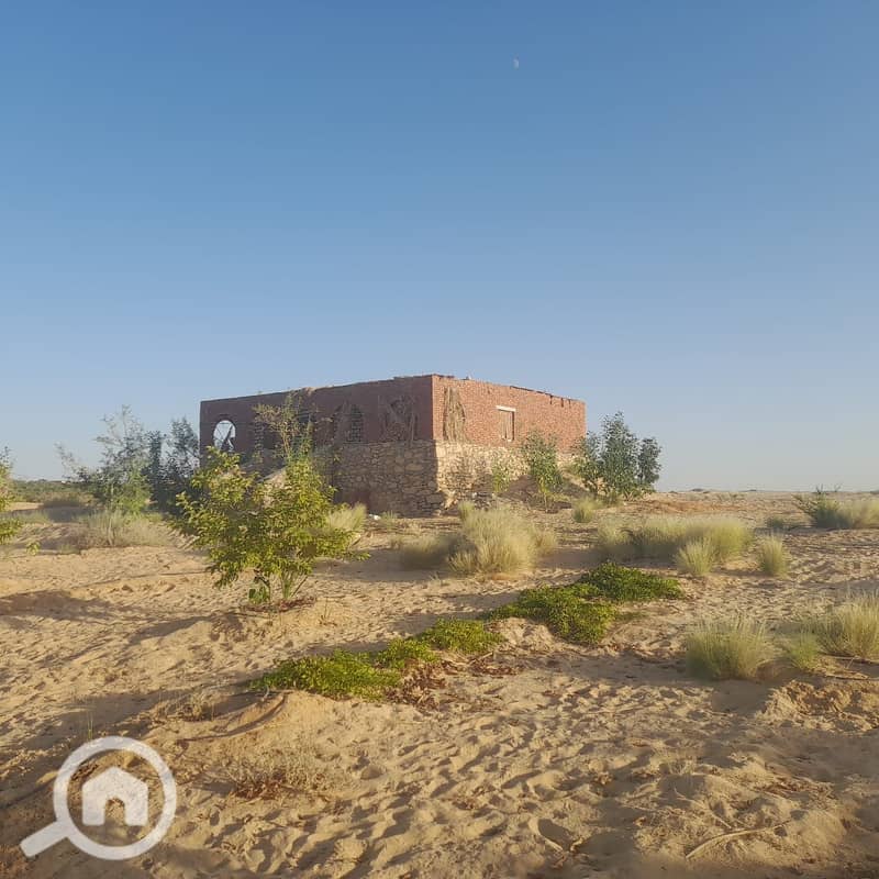 9 c3d14c23-25ee-4766-b990-ff3de4ab7efc. jpg