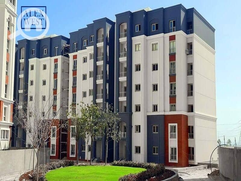 17 IMG-20250807-WA0098. jpg