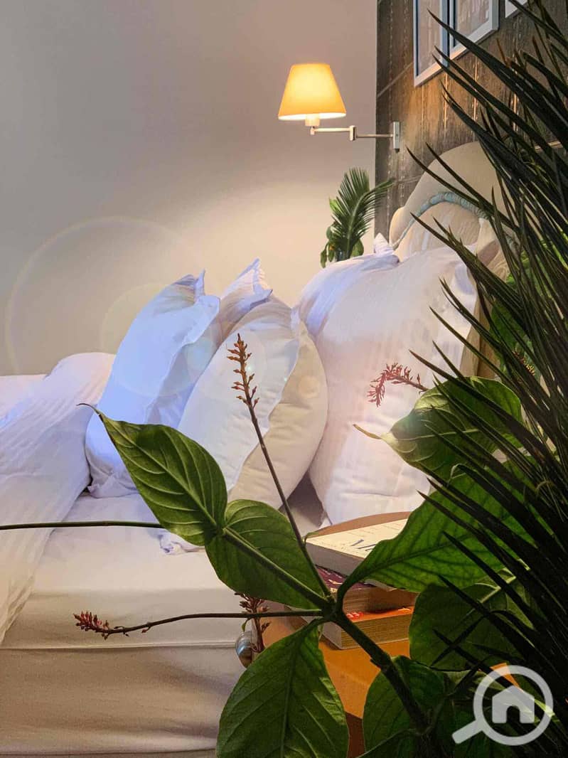 21 e43ce214-cebe-4aeb-809f-f4113fbf8929. jpg