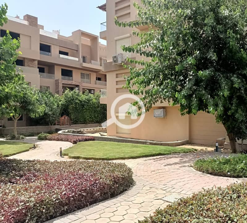 4 WhatsApp Image 2025-07-30 at 15.41. 01_4c13209d. jpg