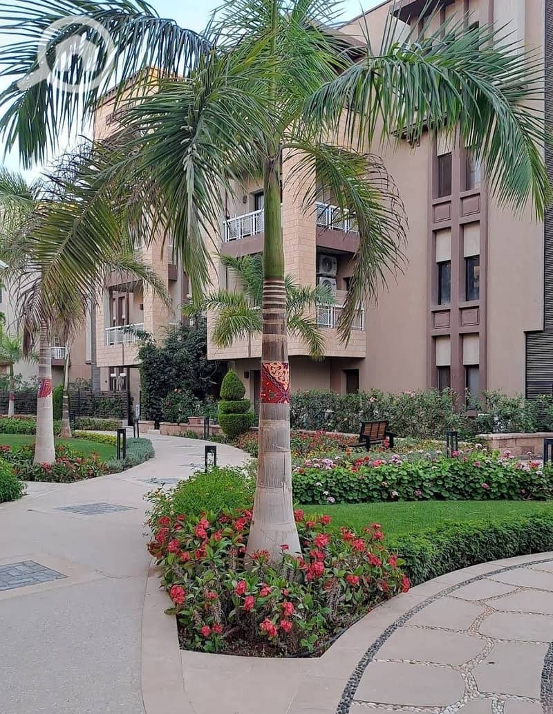 2 WhatsApp Image 2025-09-29 at 15.49. 25_d3611a67. jpg