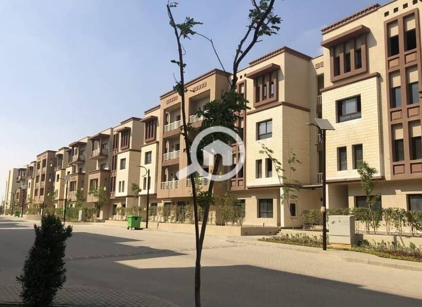 7 WhatsApp Image 2025-09-29 at 15.49. 29_721d96e3. jpg