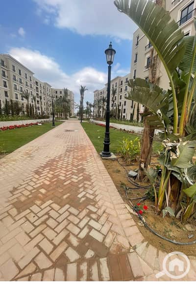 فلیٹ 3 غرف نوم للبيع في الشيخ زايد، الجيزة - WhatsApp Image 2024-03-19 at 13.53. 37_abb6b4e3. jpg فلیٹ 3 غرف نوم للبيع في الشيخ زايد، الجيزة - WhatsApp Image 2024-03-19 at 13.53. 37_abb6b4e3. jpg