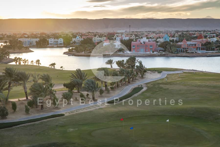 C03A9526. jpg C03A9526. jpg