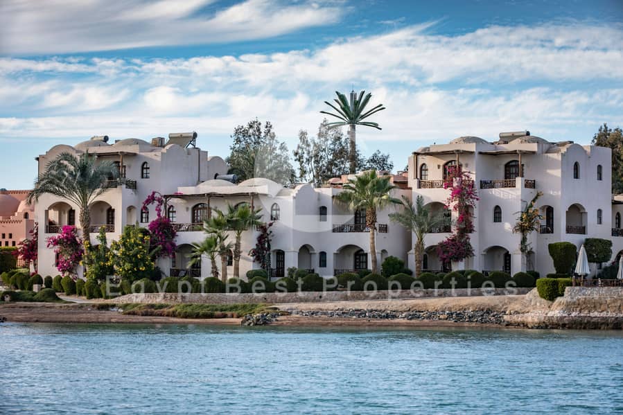 2 C03A9398-Edit. jpg