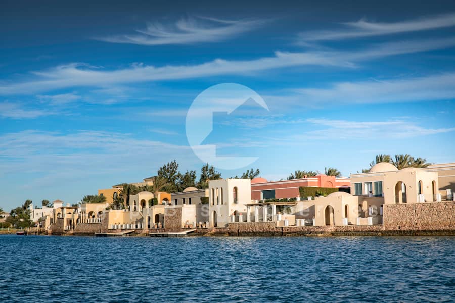 3 C03A9464-Edit. jpg