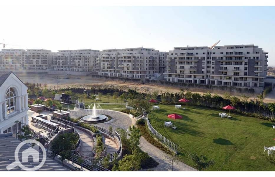 17 WhatsApp Image 2025-06-04 at 14.35. 59_bf2fdd9f. jpg