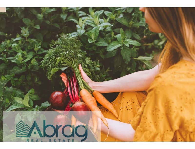 9 screenshot-1725963501817. jpg