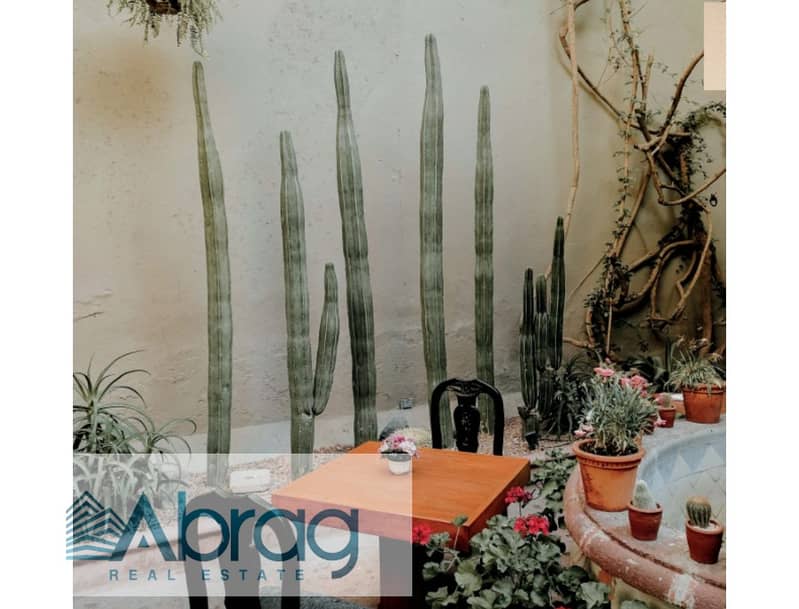 10 screenshot-1725963530302. jpg