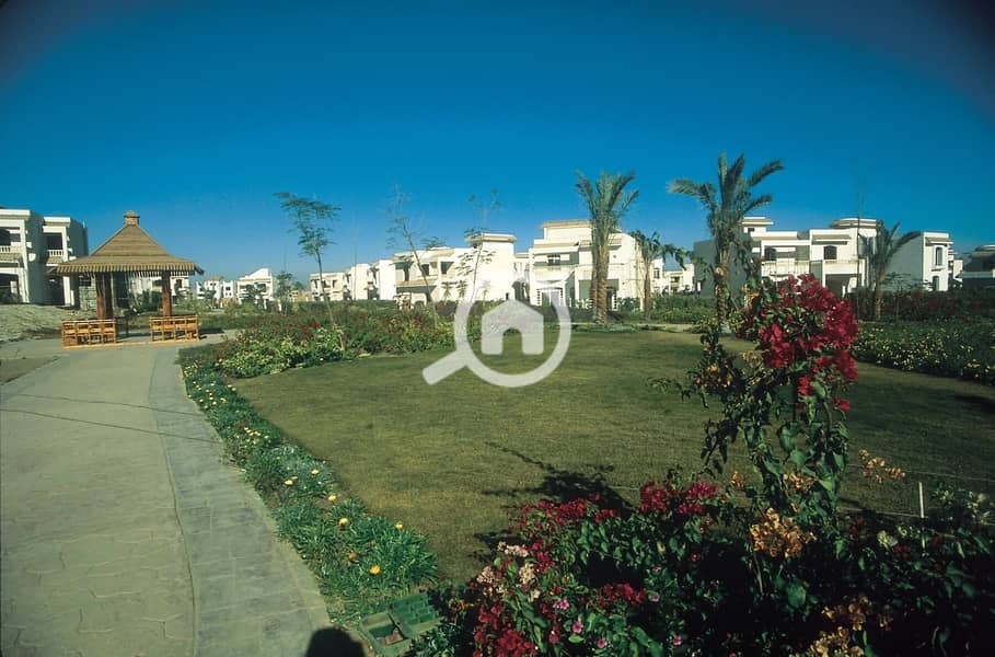 3 zayed2000---. jpeg